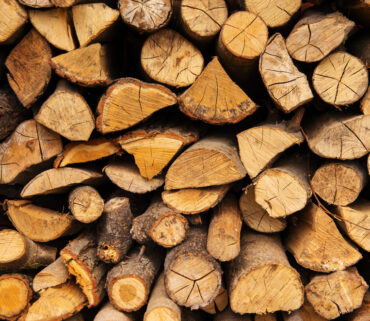 Why Wood Is One of the Most Eco-Friendly Materials
